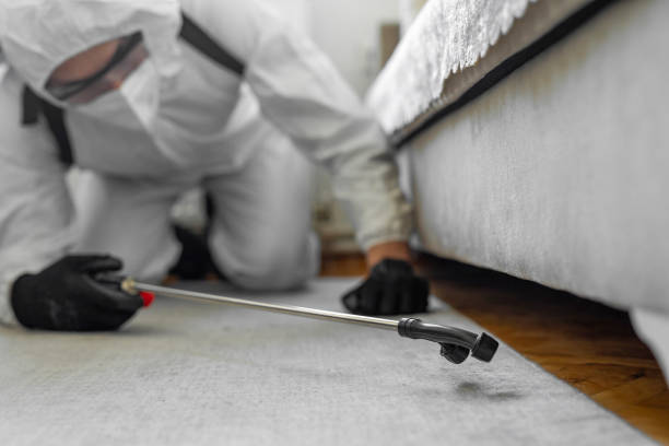 Professional Termite Control technician working in China Spring, TX