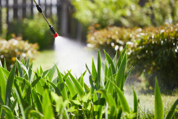 24/7 Emergency Termite Control experts in China Spring, TX